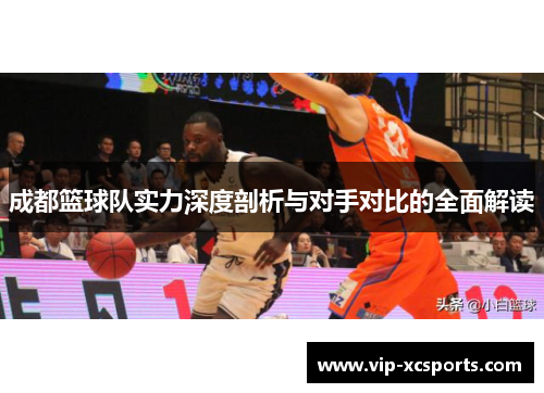 成都篮球队实力深度剖析与对手对比的全面解读