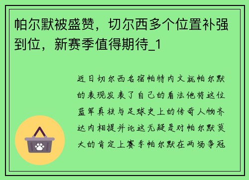 帕尔默被盛赞，切尔西多个位置补强到位，新赛季值得期待_1
